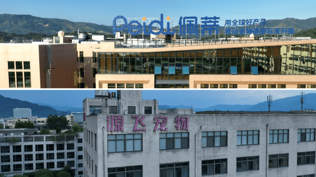 崛起！全国出名开元棋牌水头(图3)